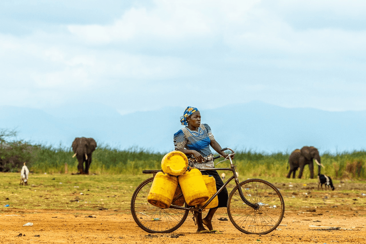 Human-Wildlife Coexistence