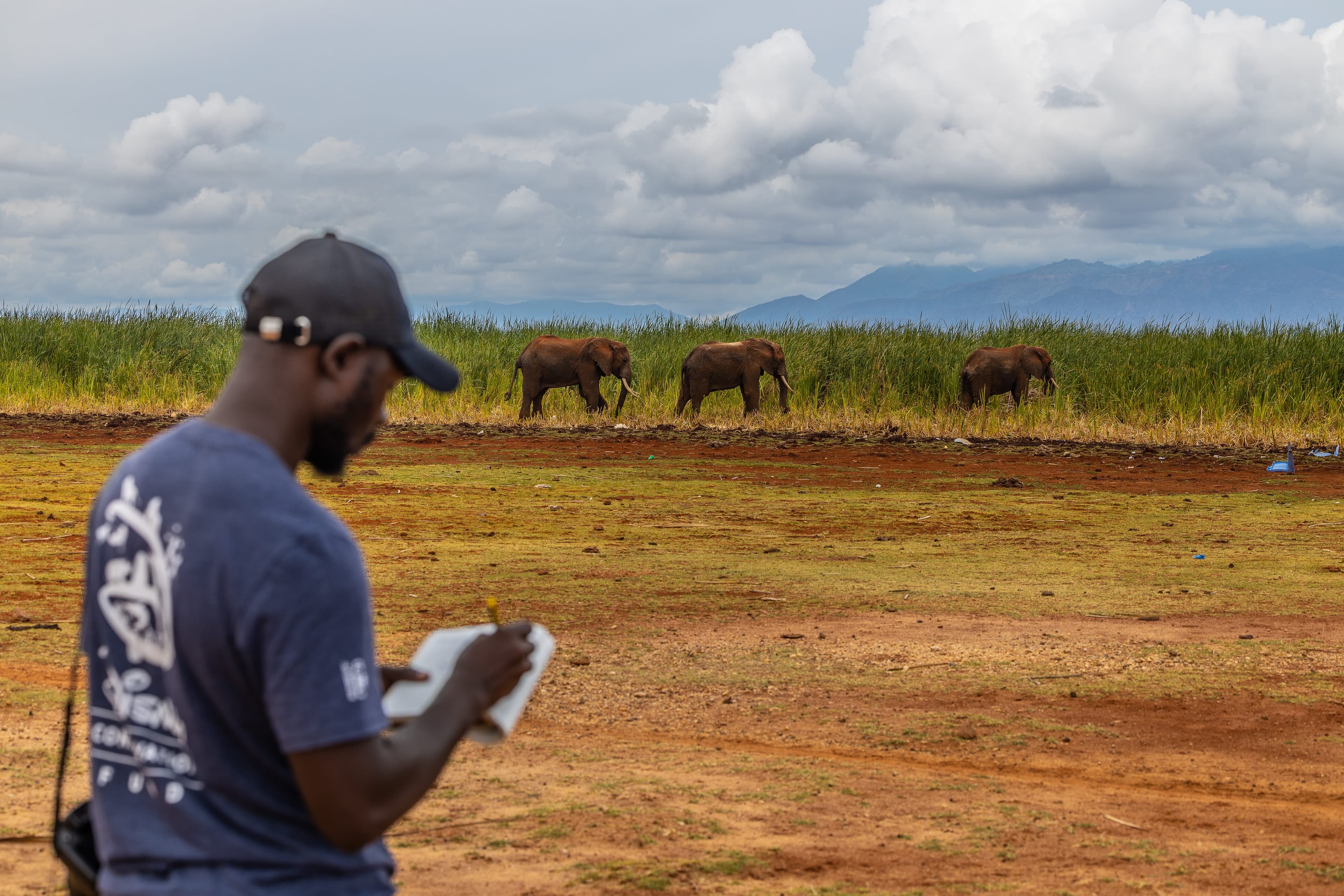 The Elephant Whisperers of Jipe