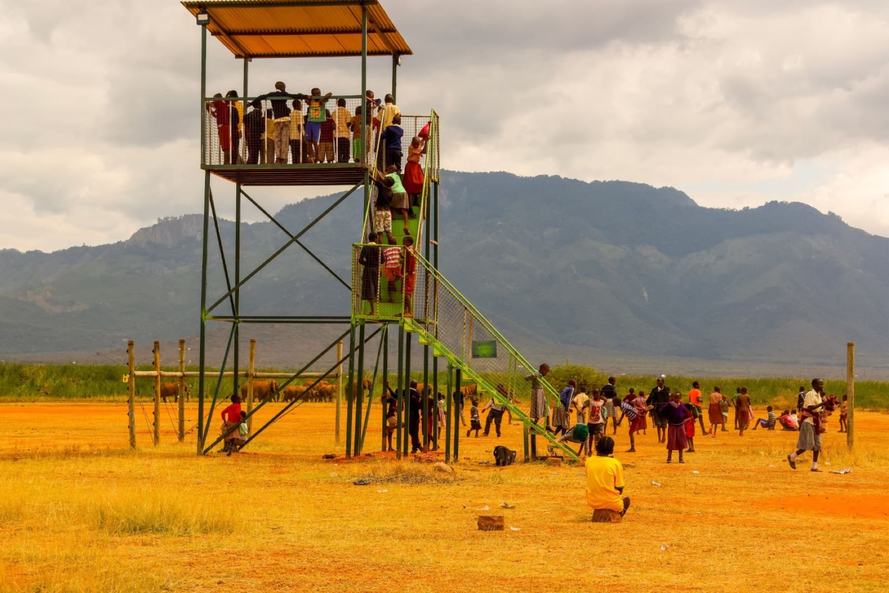 Youth Leading Change: Eco-Club Stories