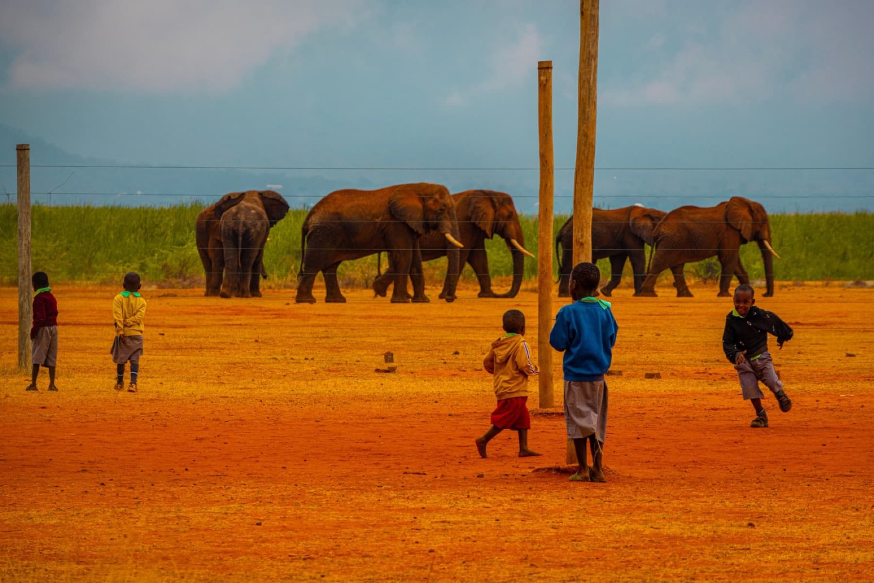 Break time at the school pitch, elephants beyond the fence