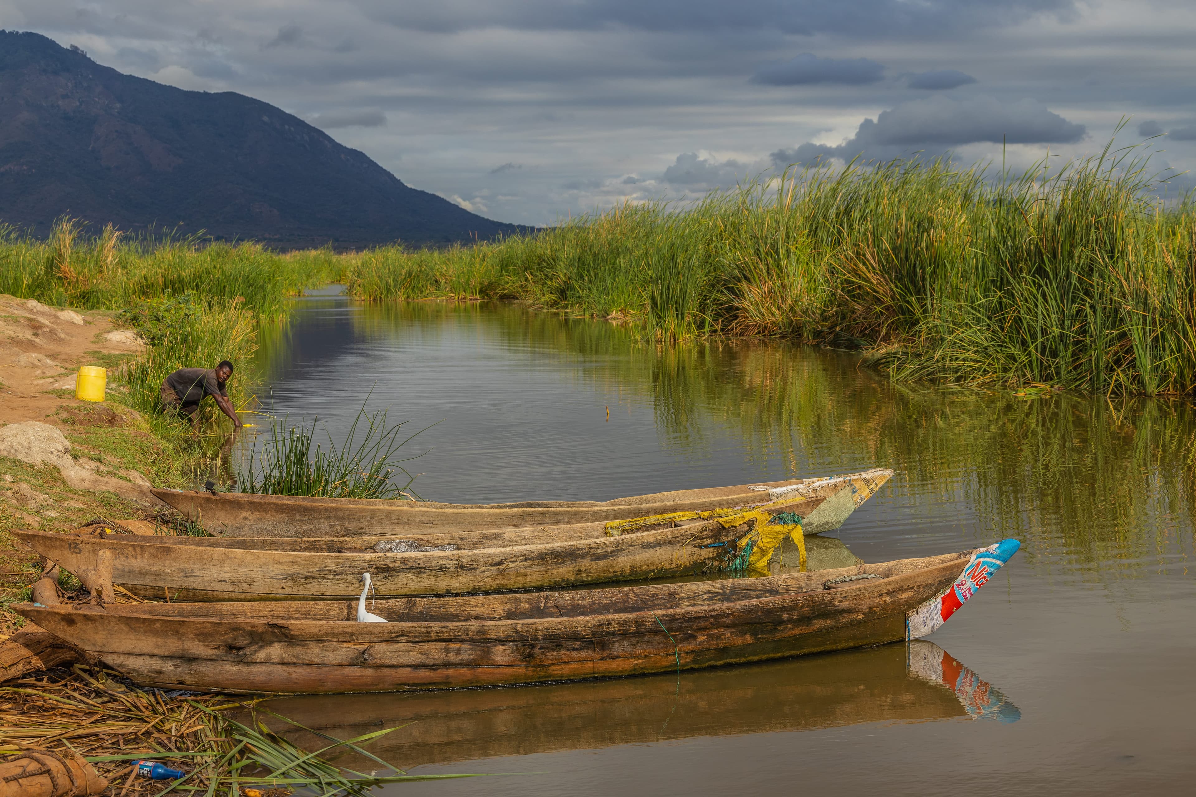 Sustainable Fisheries