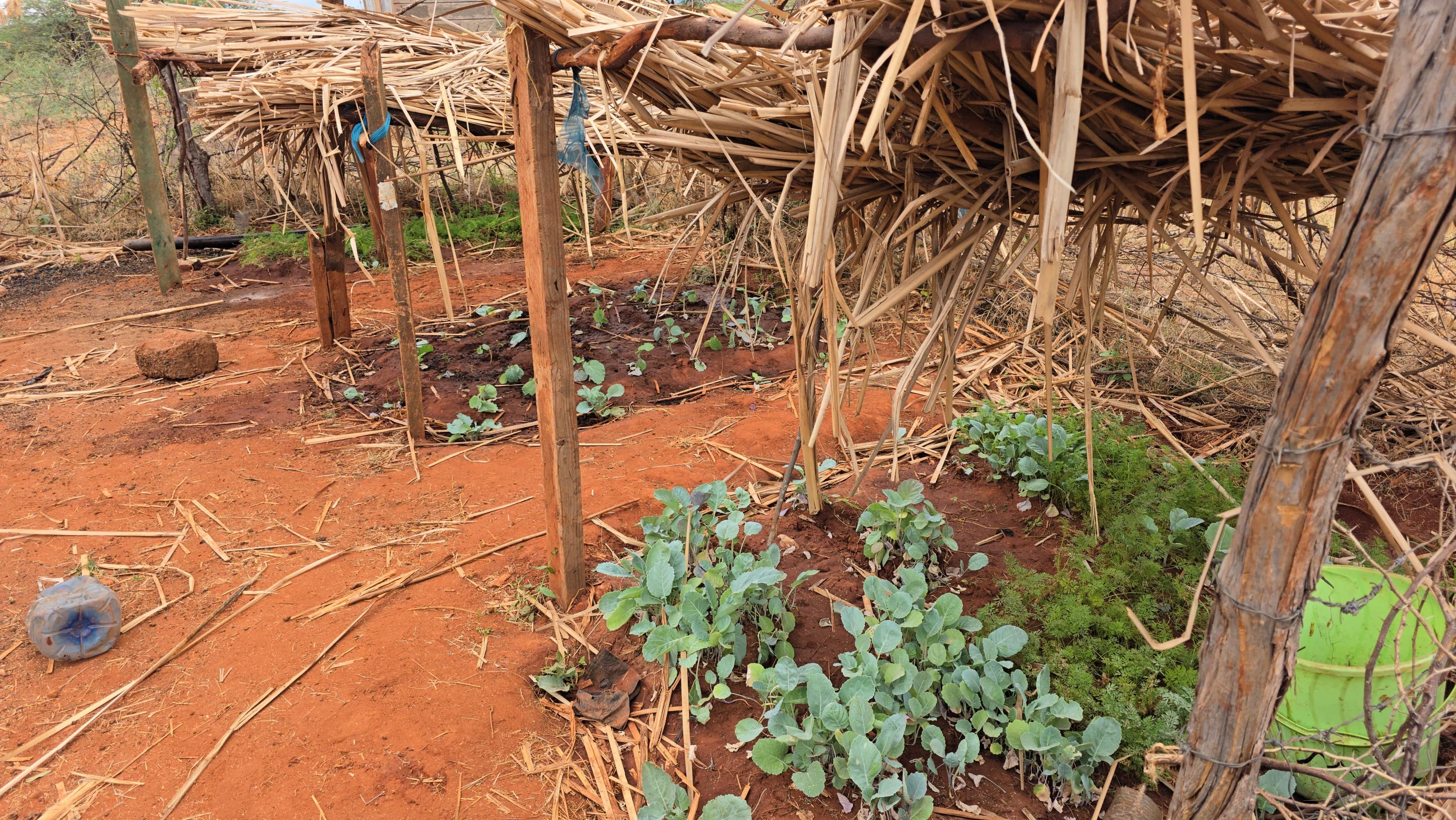 Alternative Livelihoods