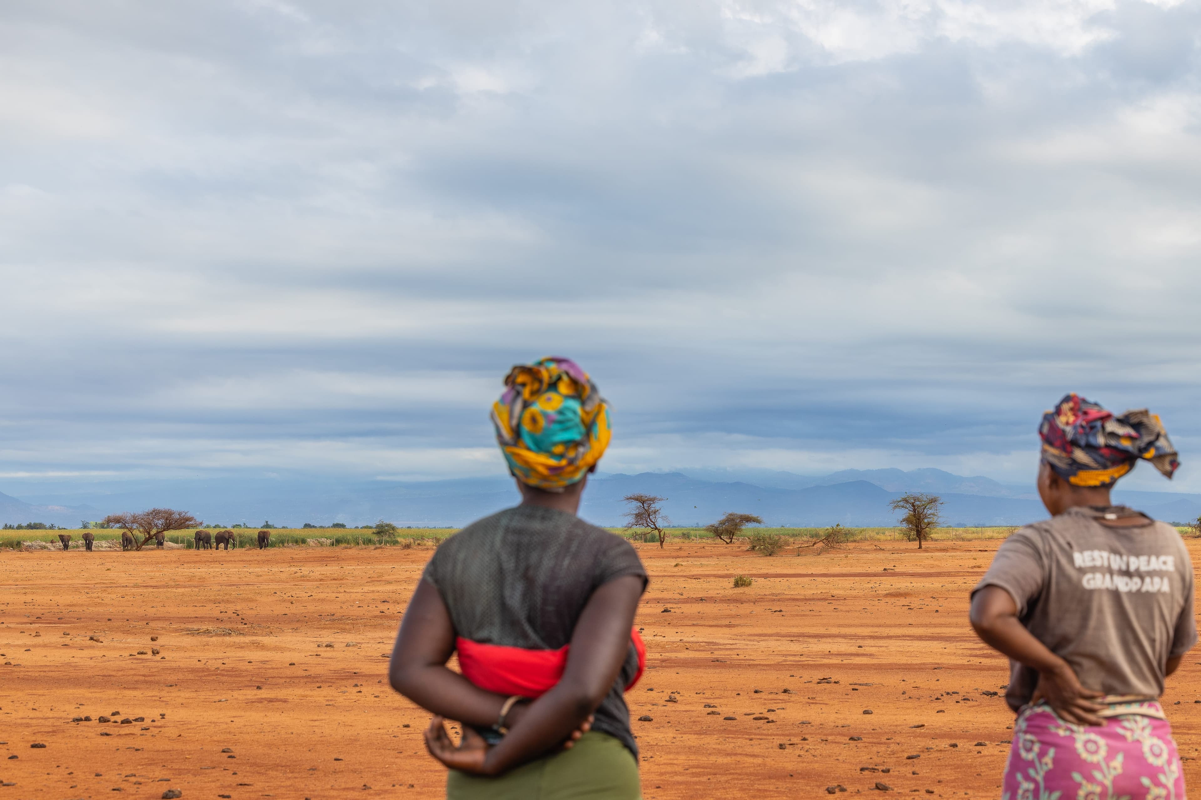 Hope Grows by the Lakeshore