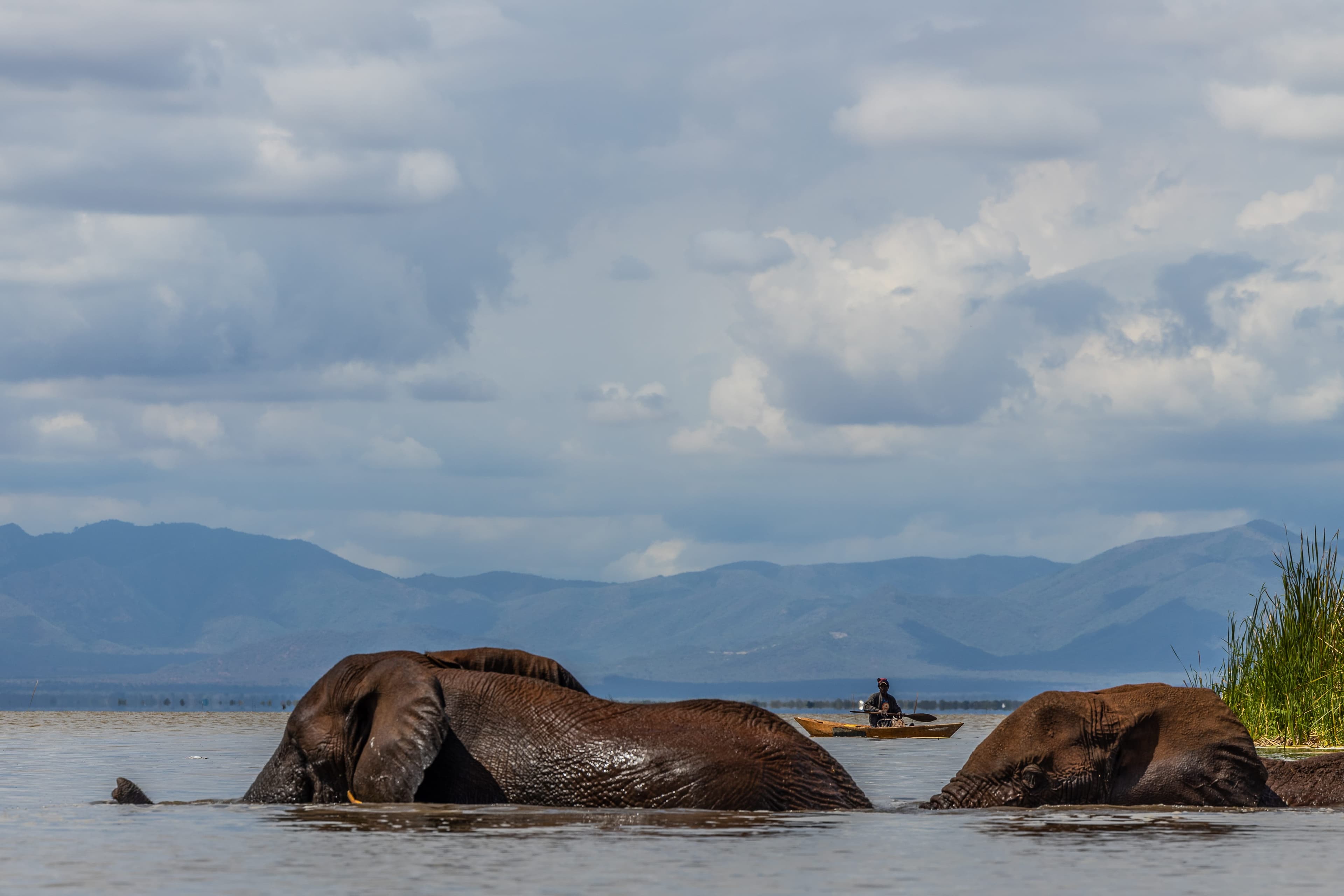Lake Jipe panoramic view with Mount Kilimanjaro